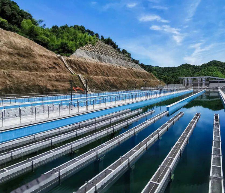 應(yīng)用領(lǐng)域